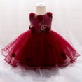thumbnail image 1 of Gyratedream Infant Toddler Girls Birthday Gown Princess Dress Baby Flower Embroidery Lace Bubble Dress, 1 of 9