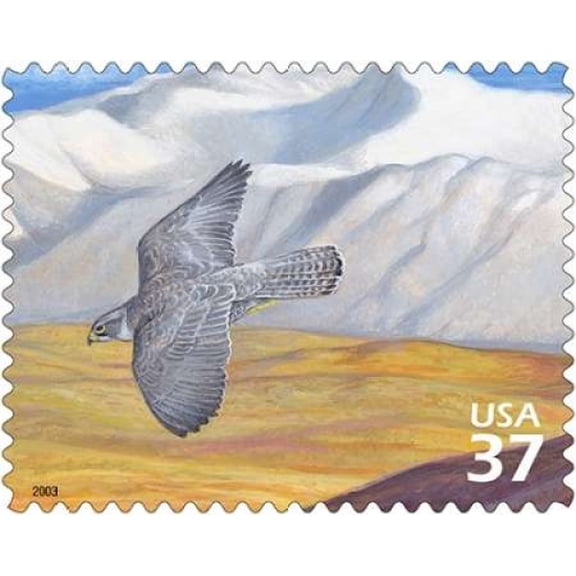 Gyrfalcon Canvas Art - US POSTAL SERVICE (24 x 30)