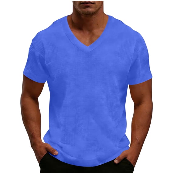 Gytharion Mens Shirts Short Sleeve T Shirt for Men V-Neck Casual Solid Basic Workout Shirts for Big And Tall Mens