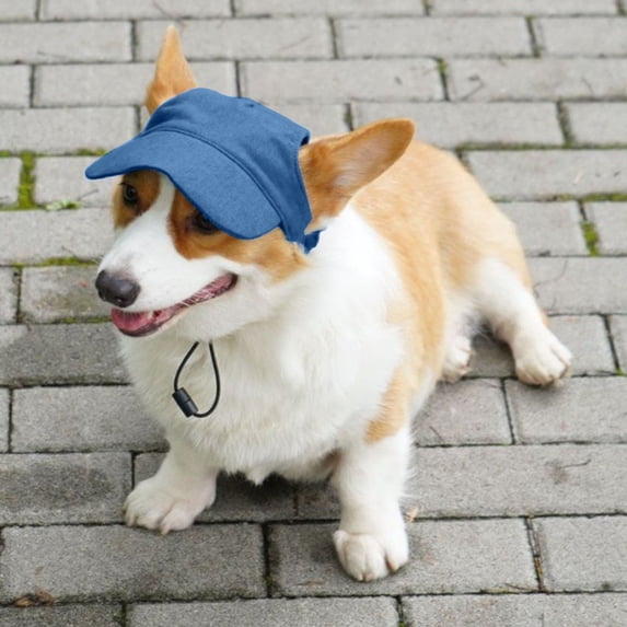 Gytml Dog Baseball Cap With Ear Holes, Lightweight Breathable Sun Protection Hat With Adjustable Strap, Summer Visor For Dogs Outdoor Activities(Blue-S)