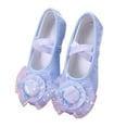 thumbnail image 1 of Gyujnb Elegant Satin Ballet for Girls Delicate Mesh Dance Shoes with Glitter Bow Cat Design,3.5-4 Years, 1 of 6