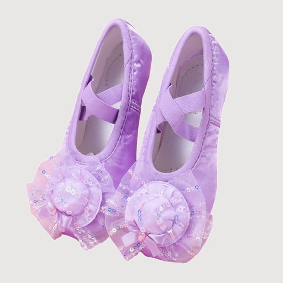 Gyujnb Girls Sequin Mesh Satin Ballet Shoes Soft Sole Dance Footwear,Elastic Strap Closed Toe Practice Shoes (Girls),4-4.5 Years