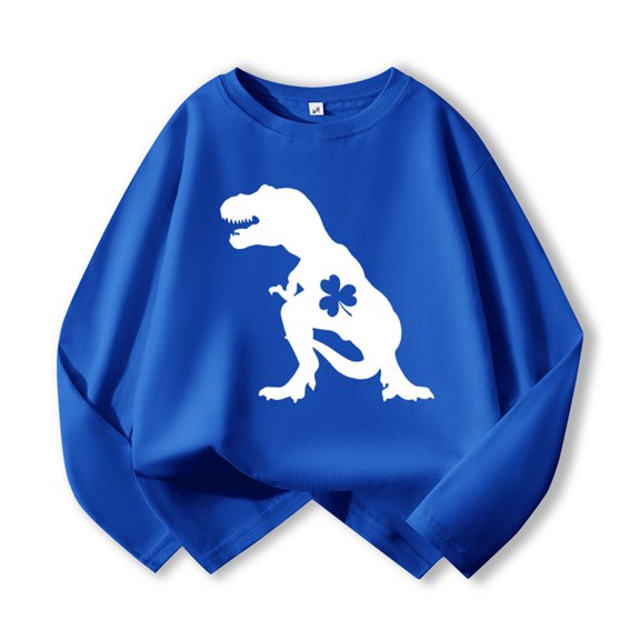 Gzbliryd Boys Girls st patricks day shirt t shirt Dinosaur Print 100% Cotton Crewneck Shirts Summer Long sleeves T Shirt Tee Tops (Blue,3-4 Years)