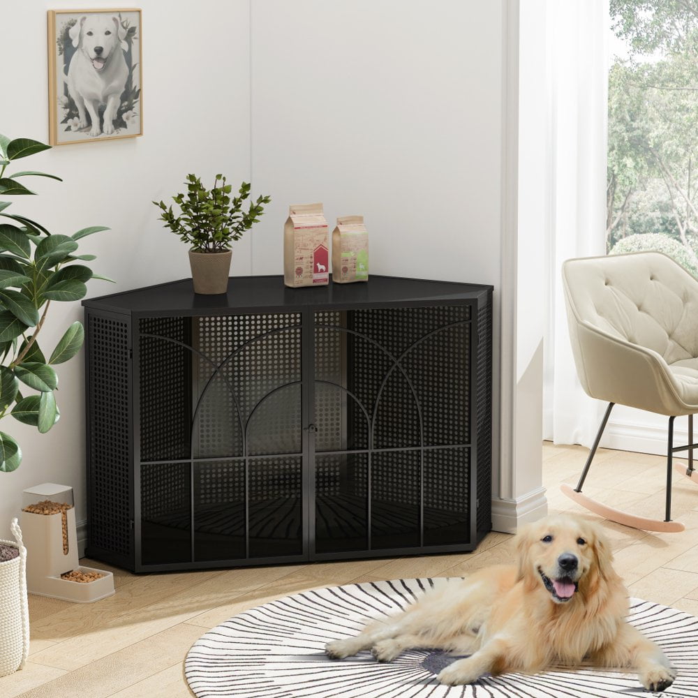 Black 47" Modern Metal and Glass Dog Crate