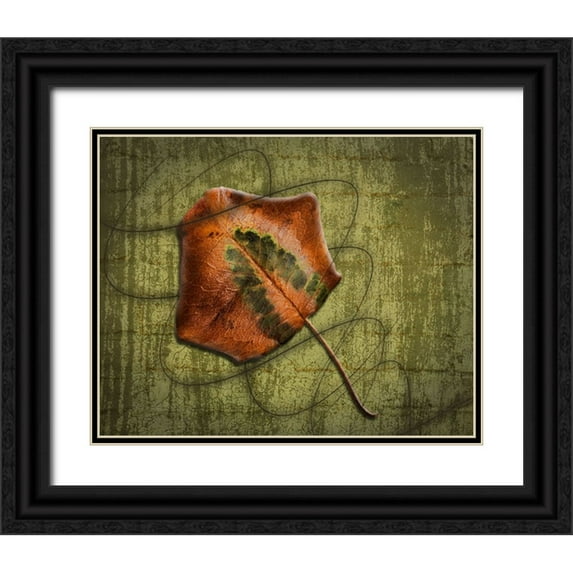 H. Bowen, Sherry 18x15 Black Ornate Wood Framed with Double Matting Museum Art Print Titled - Single Leaf Swirl 1