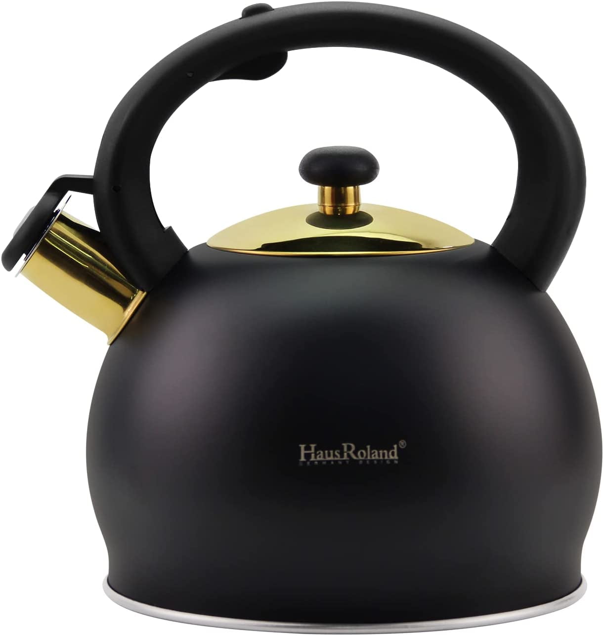 HausRoland Capacity 1L Stainless Steel Tea Kettle Induction Bottom Stove  Top Water Teapot With Filter