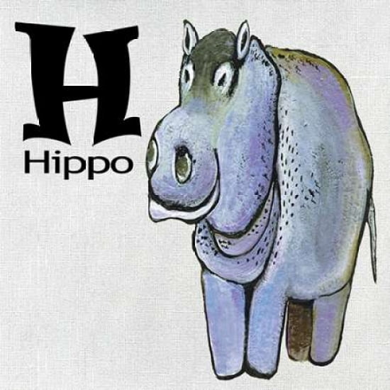 H - Hippo Canvas Art - Shanni Welsh (24 x 24)