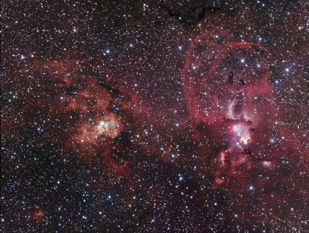 H II regions NGC 3603 and NGC 3576 Canvas Art - Robert GendlerStocktrek Images (32 x 24)