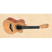 H. Jimenez Voz de Trio Acoustic Requinto with Gig Bag
