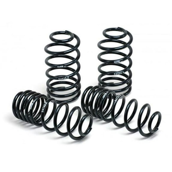 H&R Performance Sport Spring for 2018-2021 Model 3 Long Range
