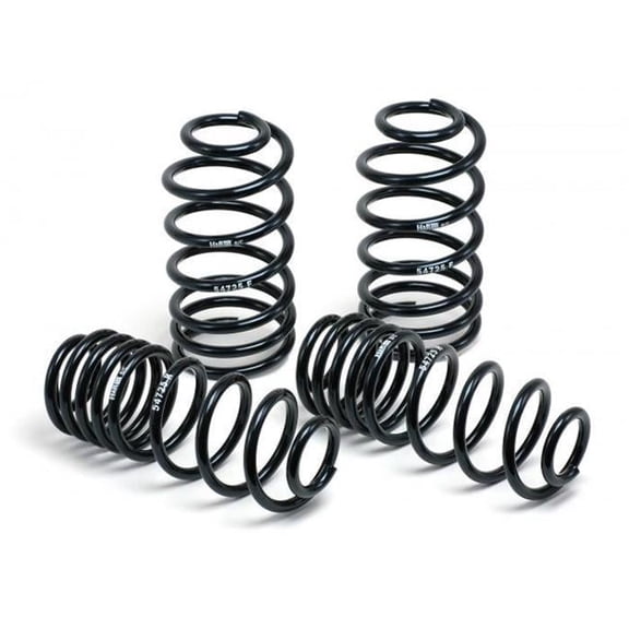 H&R Performance Sport Spring for 2018-2021 Model 3 Long Range
