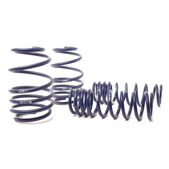 H&R lowering springs 29991-1 compatible with BMW 7er (E38)