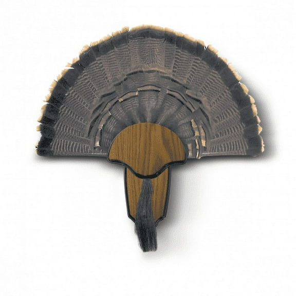 H.S Strut Turkey Tail & Beard Mounting Kit - Durable Easy to Assemble Trophy Mount Kit - Brown