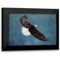 thumbnail image 1 of H Yang, David 14x11 Black Modern Framed Museum Art Print Titled - The Pose, 1 of 5