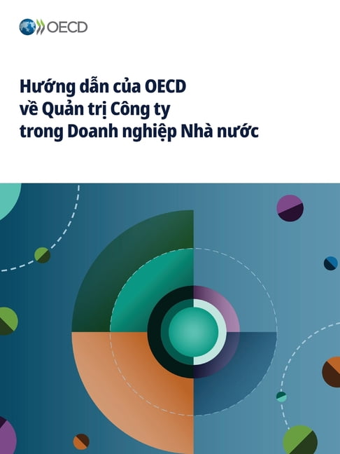 Hướng dẫn của OECD về Quản trị CÃ´ng ty trong Doanh nghiệp NhÃ  nưN, (Paperback)