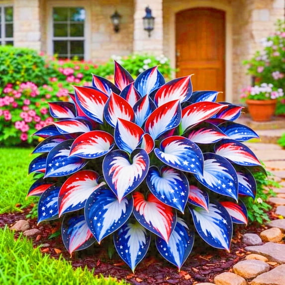 (H-ostas)-Shade Plant for Gardens-Easy Grow-Low Maintenance-Ideal for Beds Borders, Plant Pots & Planters
