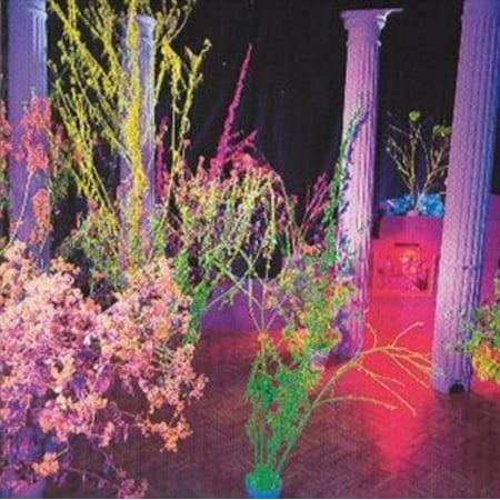 Hüsker DÜ - Warehouse: Songs & Stories - CD