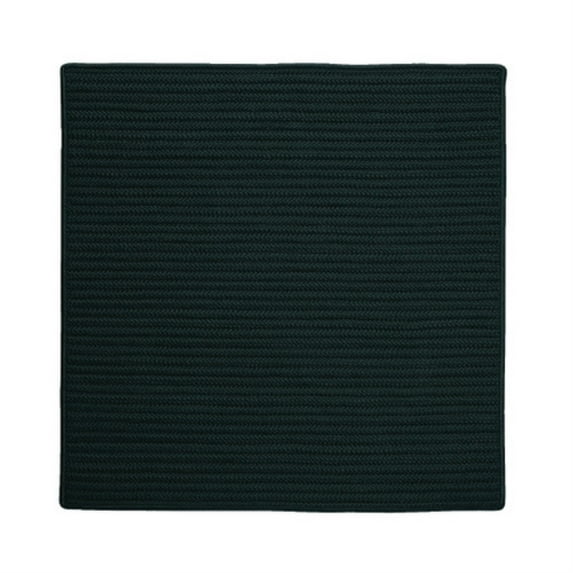 H109R120X120S Simply Home Solid - Dark Green 10 square Rug, 100% Polypropylene - Square.