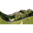 thumbnail image 1 of H13112 Swiss Alps Tree Line  3 pack, 1 of 1