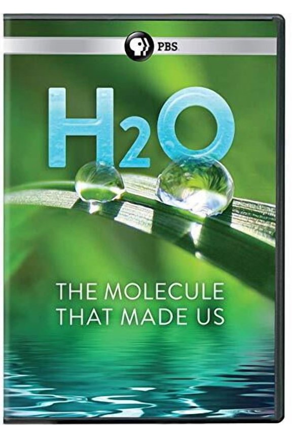H2O: The Molecule That Made Us
