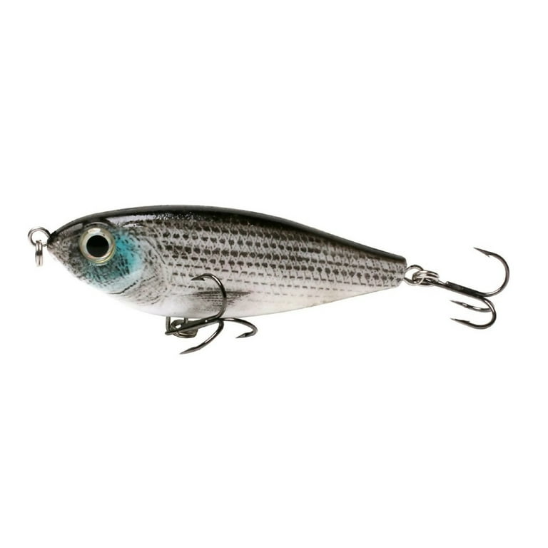 H2O Xpress Hover Shad Big Belly Softee Saltwater Fishing Swimbait