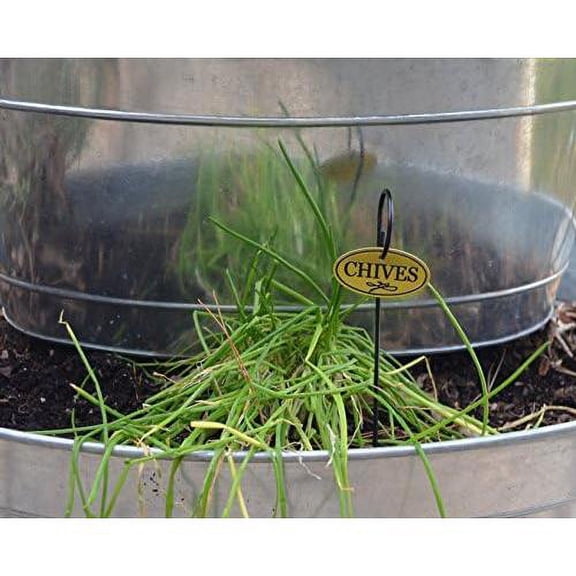 H300 Plant Markers, Brass Plated Herb s With 10" Stakes, Labels For Herbs In Home, Garden, Greenhouse, Set Of 8