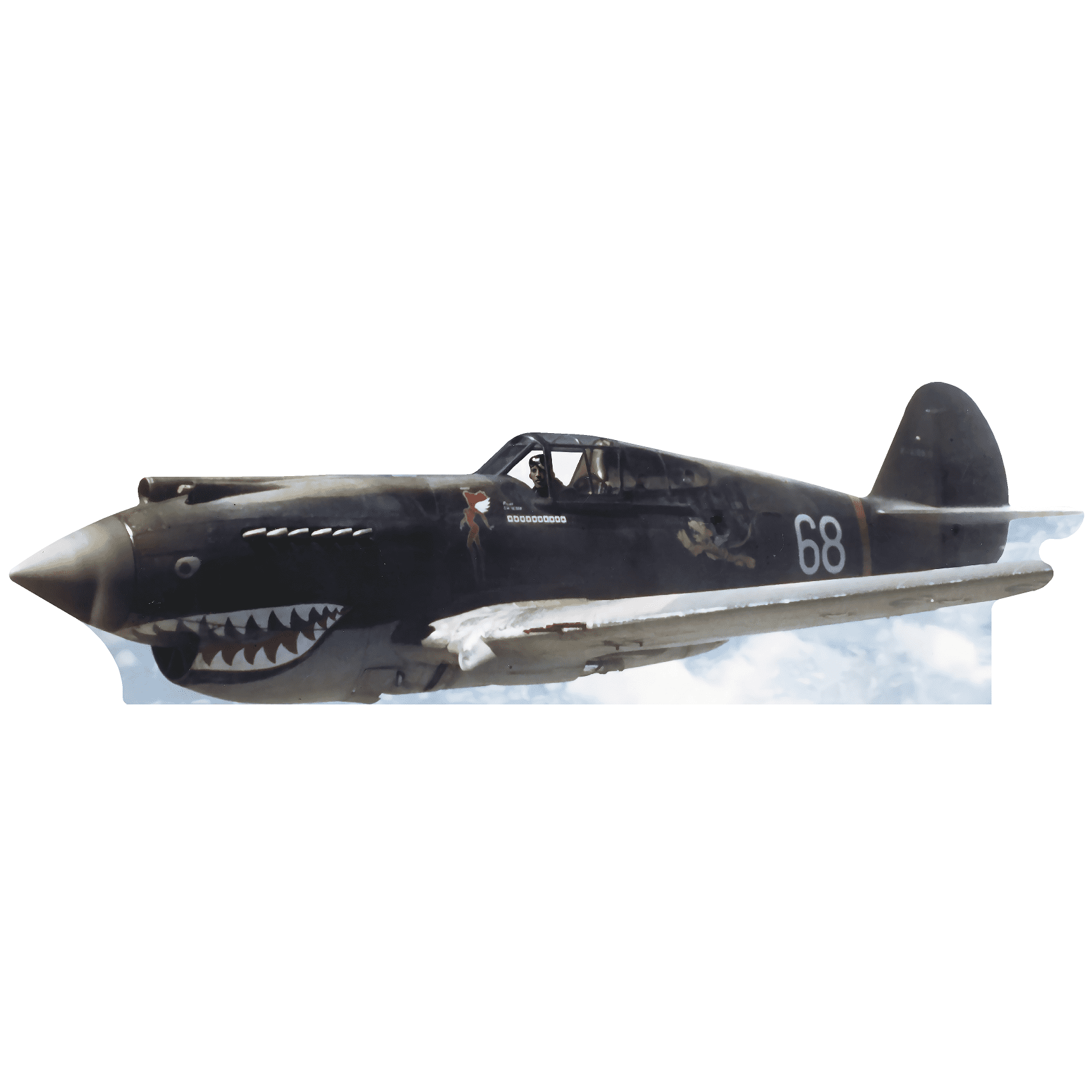 Military Shark Plane Cardboard Standup 90x26 Inches