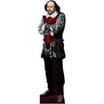 H79025 Cardboard Cutout Standup