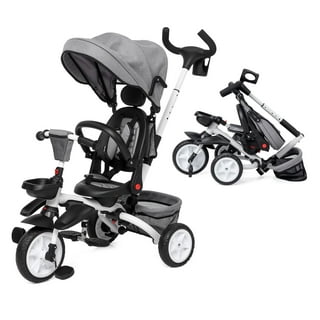 Trike Canopy