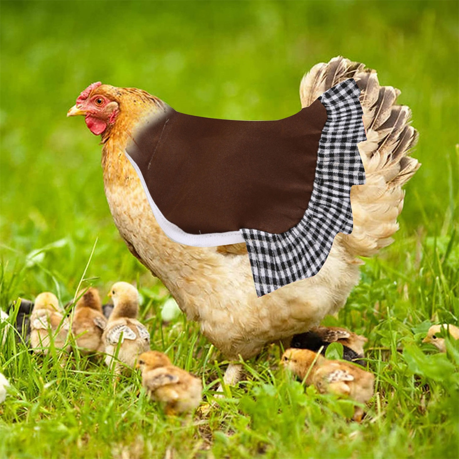 HAFNFUE Chicken Saddle For Hens Chicken Apron With Elastic Strap ...