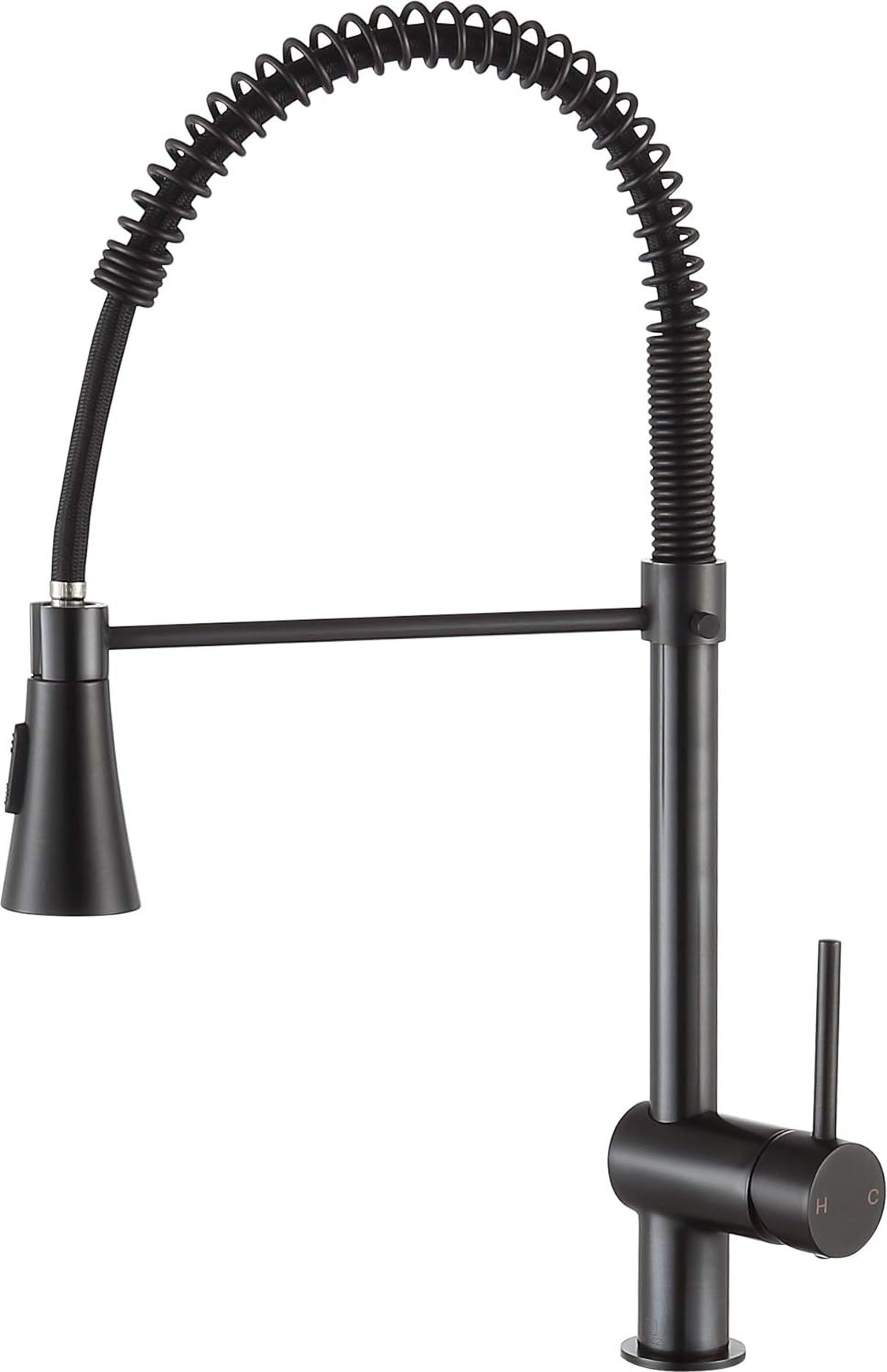 HAICHI Carriage Modern Single Hole Kitchen Faucet, Single Handle Oil