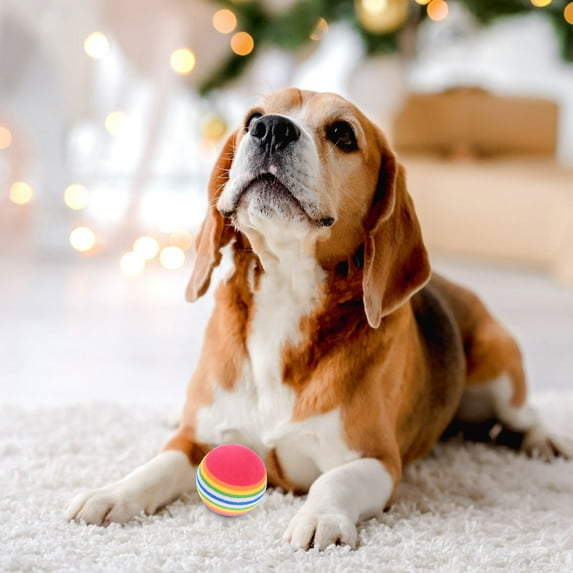 HAKIDZEL 10Pcs EVA Rainbow Ball for Cat and Dog Training and Games 3.5in