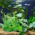 thumbnail image 1 of HAKIDZEL 1Set Fish Tank Accessory Reptile Terrarium Decor in Green and 20x18cm, 1 of 8