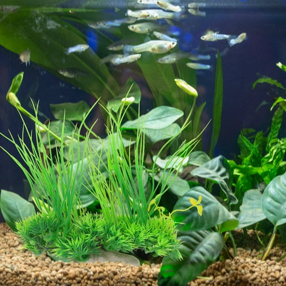 HAKIDZEL 1Set Fish Tank Accessory Reptile Terrarium Decor in Green and 20x18cm