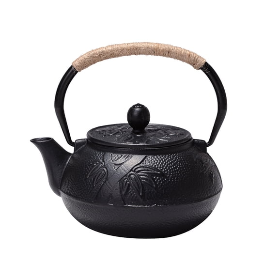 HAKIDZEL 1Set Retro Iron Elegant Kettle with Delicate Design 6.41X2.95X5.89in for Adults