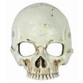 thumbnail image 1 of HALF MASK - FOAM SKULL, 1 of 2