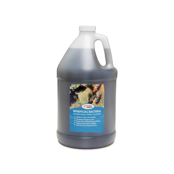 Half Off Ponds Beneficial Bacteria, 1 Gallon Bottle Pond Treatment