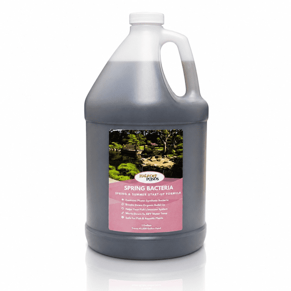 Half Off Ponds Spring Bacteria, 1 Gallon Pond Treatment