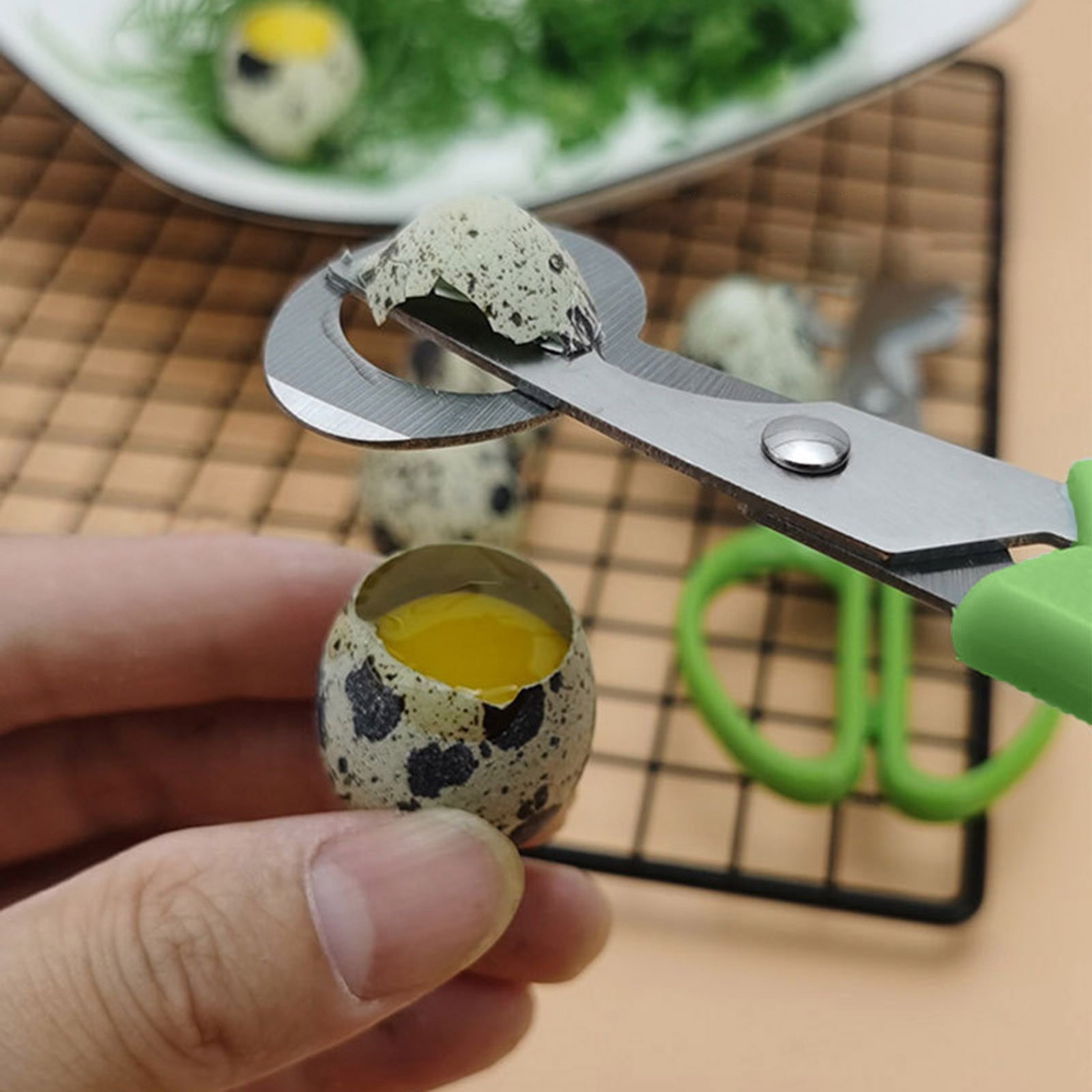 HALJEN Bar Hanger Wall Quail Scissors Stainless Steel Scissors House