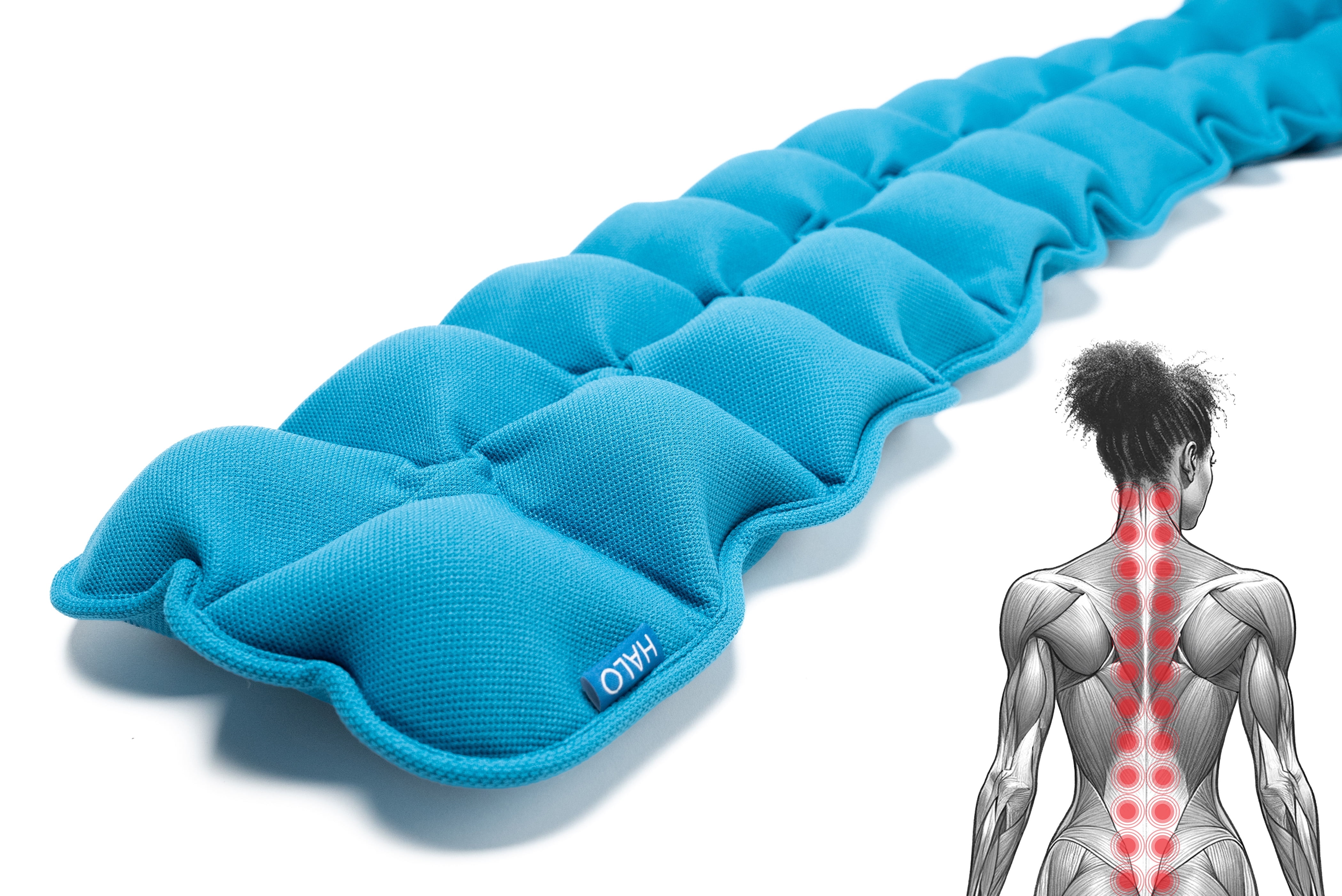 Therapy Balls For Back Pain : 6 Best Gym Ball Exercises for Lower Back ...