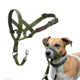 Petlife halti harness hotsell