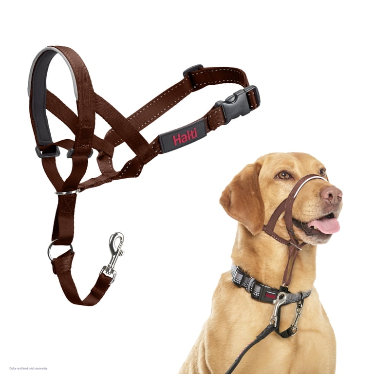 beaver dog toy squeaky small P.B. Beaver Durable Super Chewer 2-in-1 Rip and Reveal Dog Toy  BARK