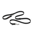 thumbnail image 1 of HALTI Training Lead (6\' 6"), Large, Black Leash, 1 of 2