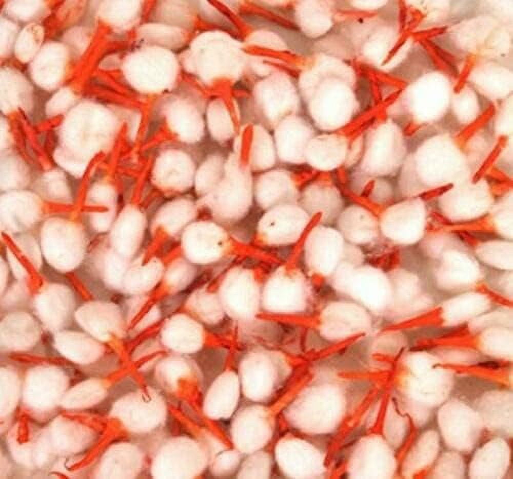 HAMDMADE COTTON WICKS FOR DIYA & LAMP