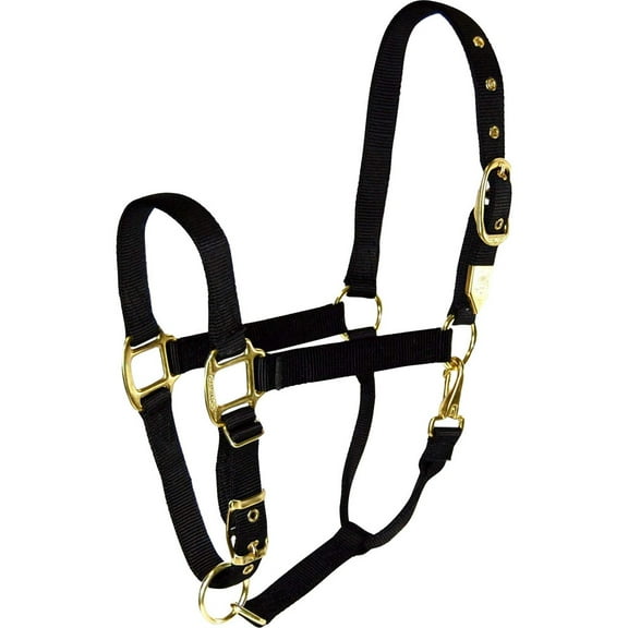 HAMILTON HALTER COMPANY-1DAS LGBK Adjustable Chin Horse Halter With Snap Black
