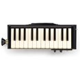 thumbnail image 1 of HAMMOND BB PRO-24B Bass Melodica, 1 of 4