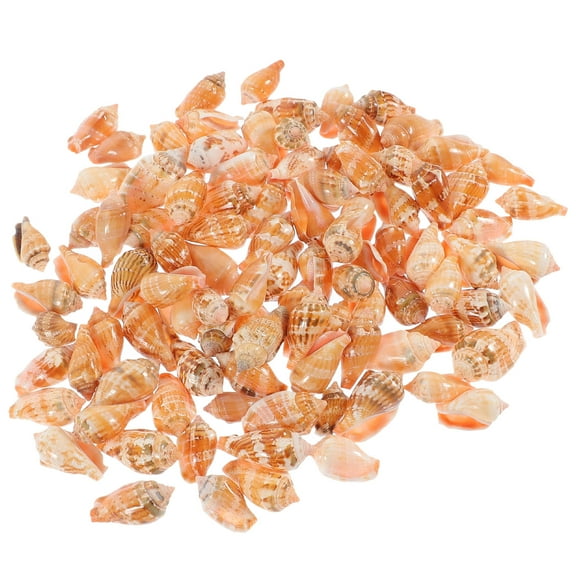 HAMPPLIES 100Pcs Diy Sea Shell Conch for Terrariums Shells for Craft