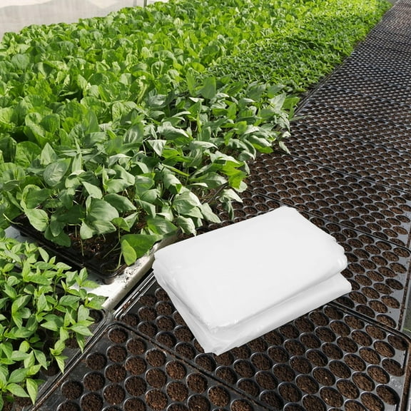 HAMPPLIES 1Pack Clear Plastic Tarp for Winter Protection 600X300X0.01in