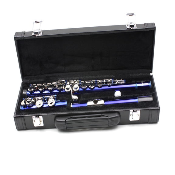 HAMPPLIES 1Pc Wind Instrument Portable Storage Box in Black with Durable Shock Absorption