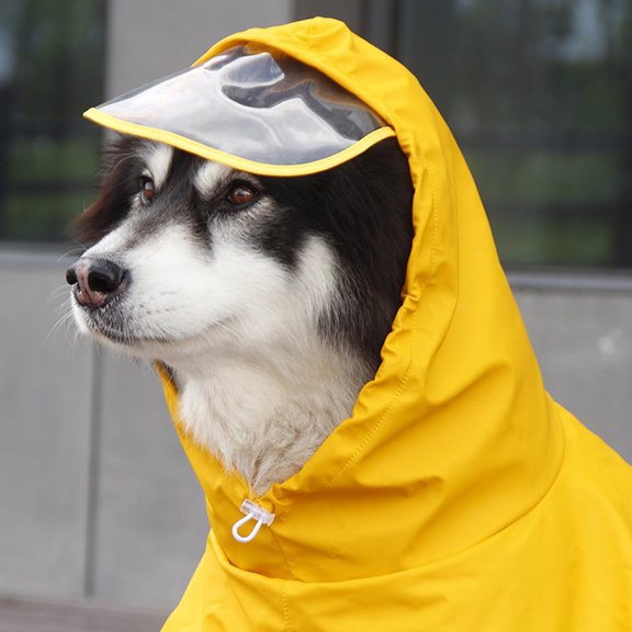 HAMPPLIES 1Pcs Pet Rainwear Waterproof for Dogs Walking Outdoors